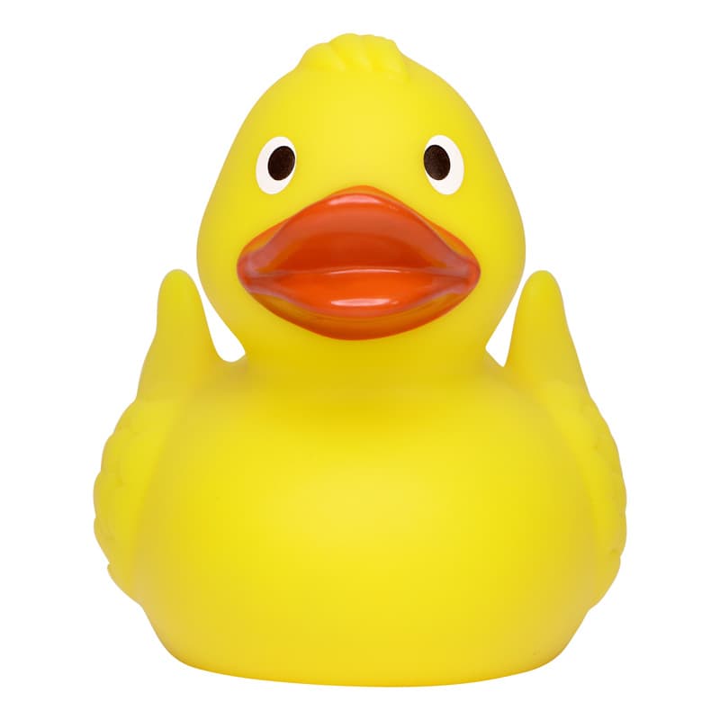 Canard de course M MBW