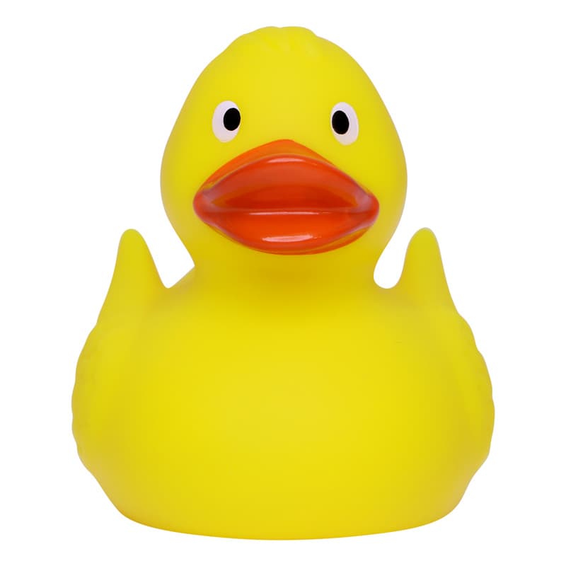 Canard de course MBW